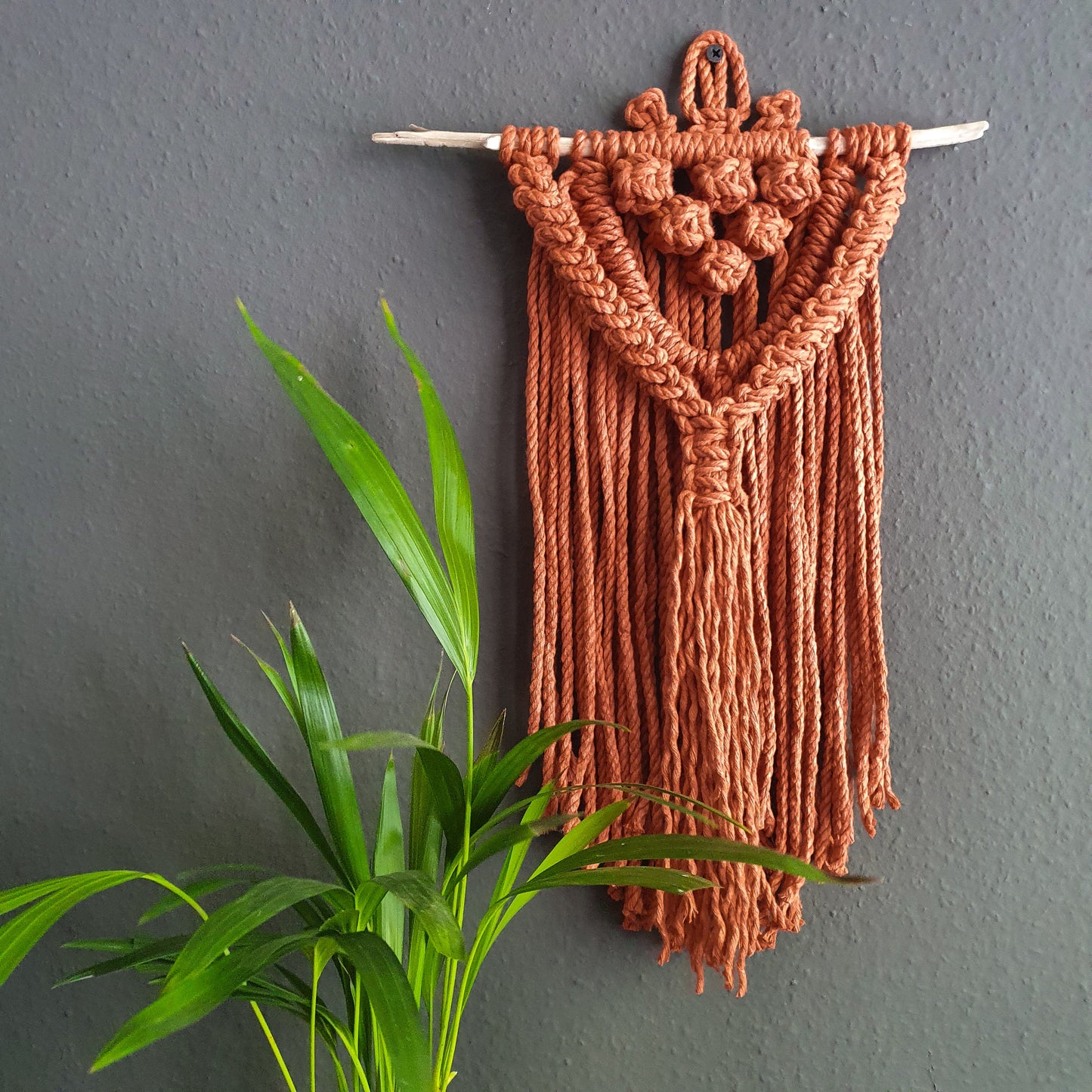 Terracotta