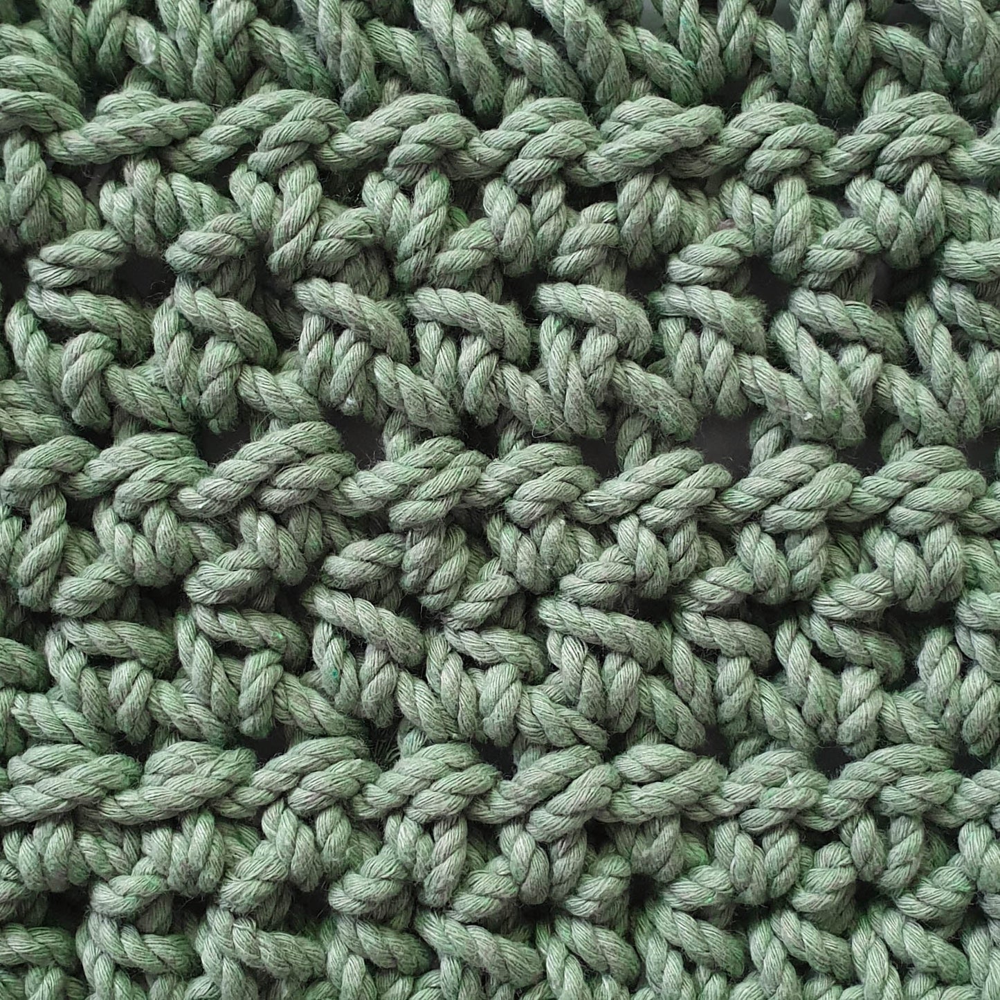 Eucalyptus Green