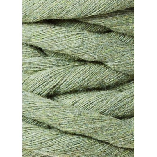 Eucalyptus Green