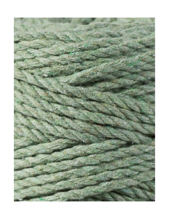 Eucalyptus Green