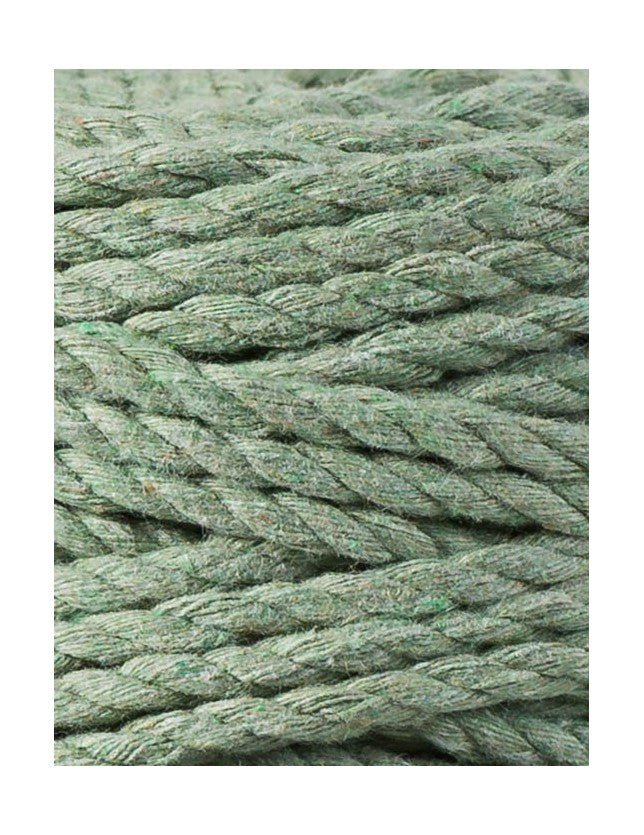 Eucalyptus Green