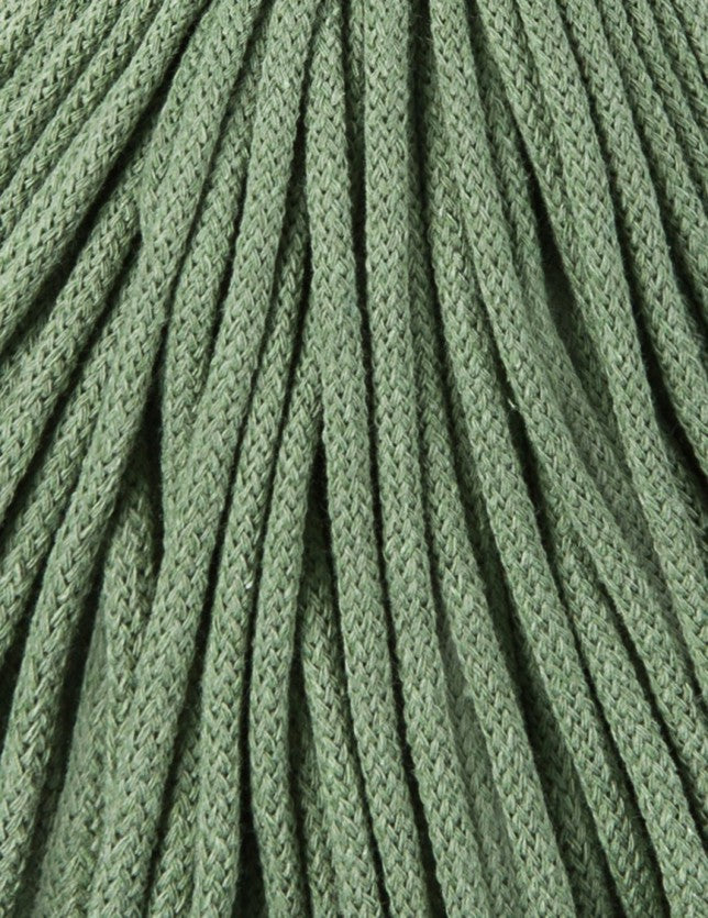 Eucalyptus Green