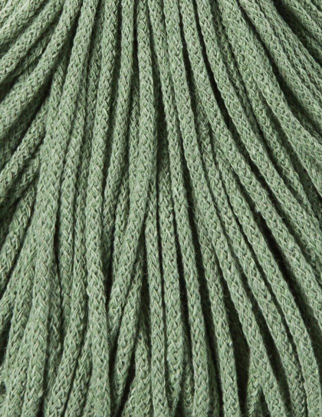 Eucalyptus Green
