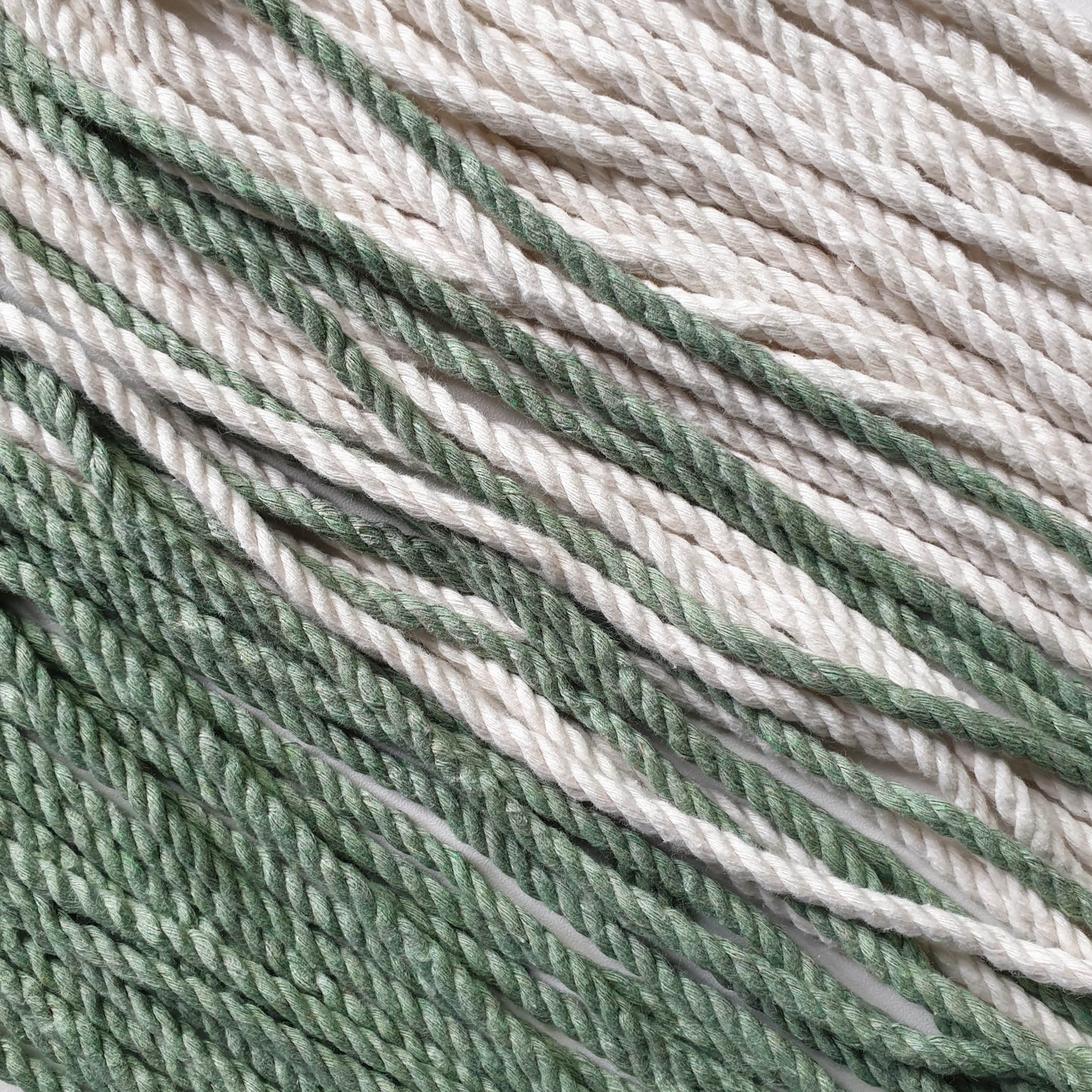 Eucalyptus Green